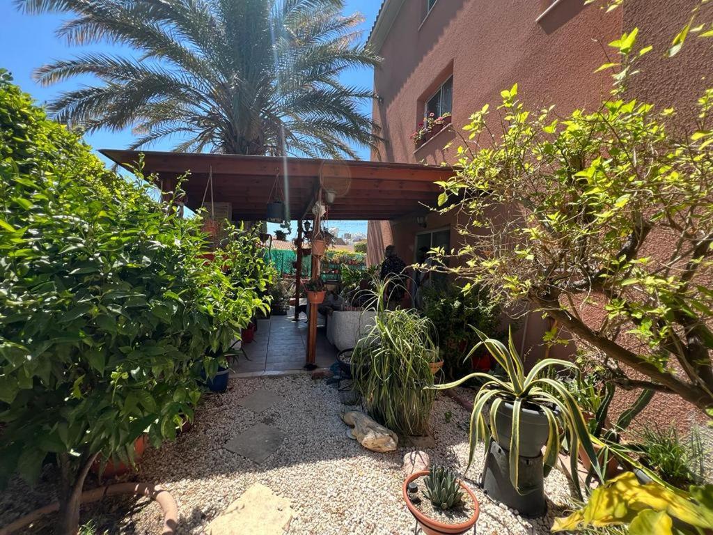 Apartment Pafia Crown-jewel 2b, Pool, Prime Location, Paphos